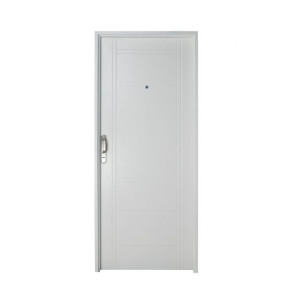 PUERTA DE INGRESO MODELO B1110