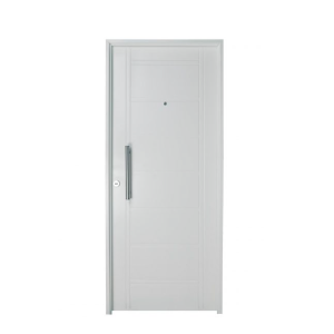 PUERTA INGRESO MODELO B1310