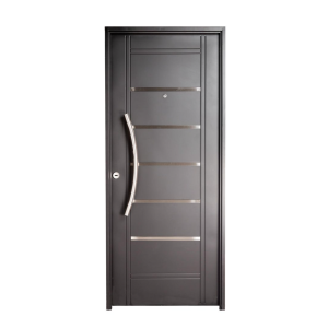 Puerta doble chapa inyectada con detalles aluminio y barral curvo largo  N 2510