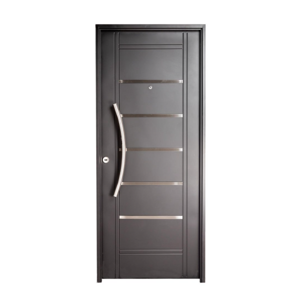 Puerta doble chapa inyectada con detalles aluminio y barral curvo largo  N 2510