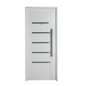 Puerta doble chapa inyectada con detalles aluminio y barral largo de 80 x 2. B 2410
