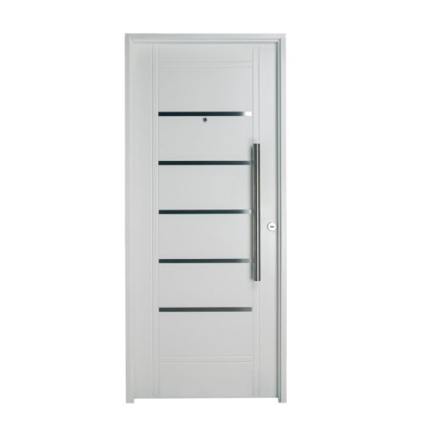Puerta doble chapa inyectada con detalles aluminio y barral largo de 80 x 2. B 2410