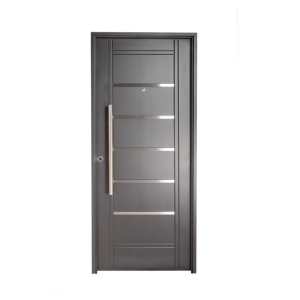 Puerta doble chapa inyectada con detalles aluminio y barral largo de 80 x 2. N 2410